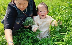 韩漫免费漫画首页登录官网